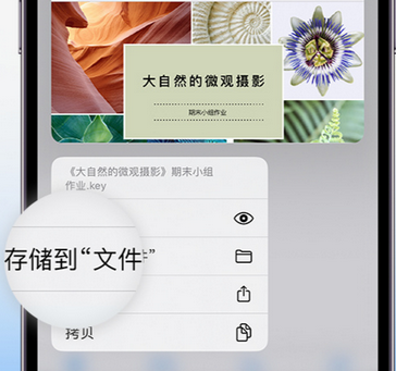 蒋场镇apple维修中心分享iPhone文件应用中存储和找到下载文件