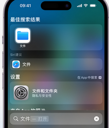 蒋场镇apple维修中心分享iPhone文件应用中存储和找到下载文件 