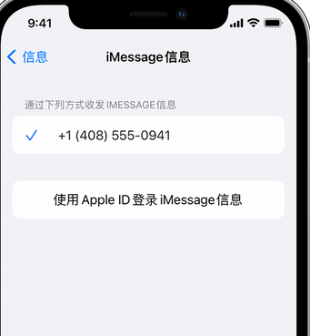 蒋场镇apple维修iPhone上无法正常发送iMessage信息 