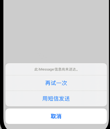 蒋场镇apple维修iPhone上无法正常发送iMessage信息