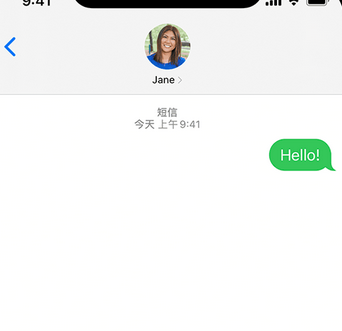 蒋场镇apple维修iPhone上无法正常发送iMessage信息