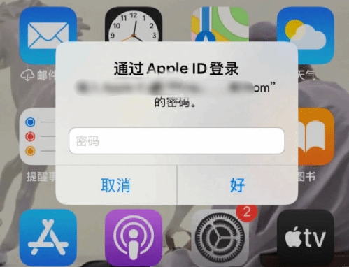 蒋场镇苹果设备维修分享无故多次要求输入AppleID密码怎么办 