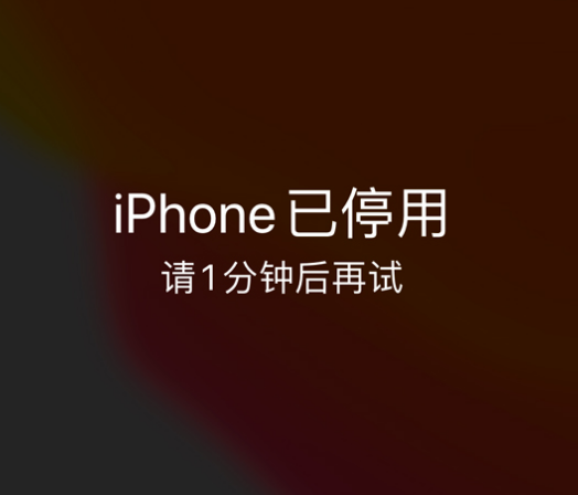 蒋场镇苹果手机维修分享:iPhone 显示“不可用”或“已停用”怎么办？还能保留数据吗？ 