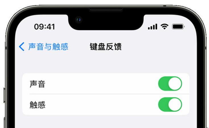 蒋场镇苹果手机维修分享iPhone 14触感键盘使用方法 