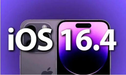 蒋场镇苹果14维修分享：iPhone14可以升级iOS16.4beta2吗？ 