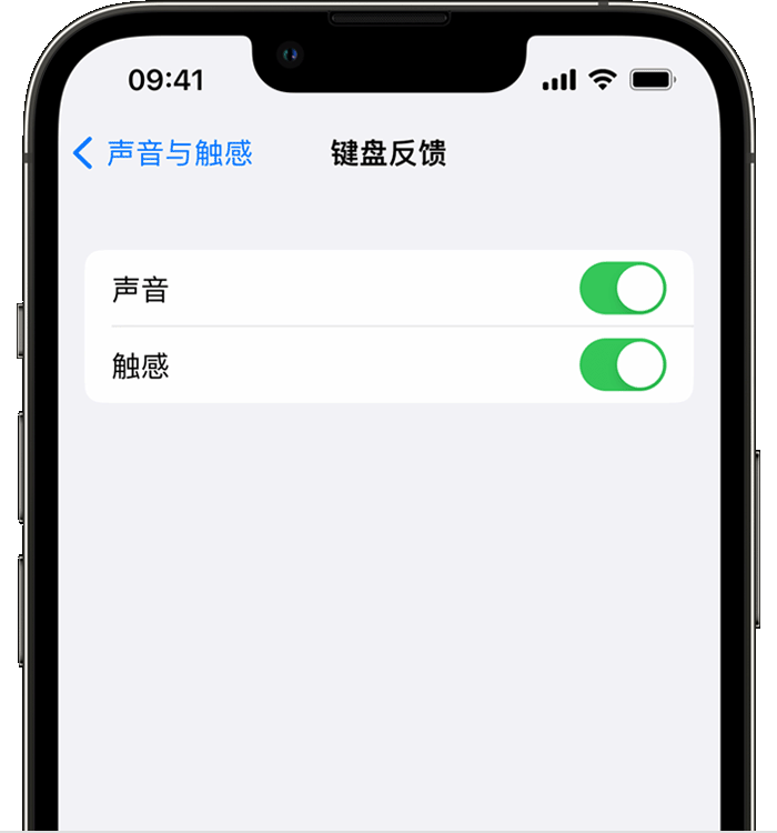 蒋场镇苹果14维修店分享如何在 iPhone 14 机型中使用触感键盘 