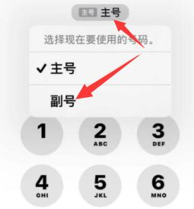 蒋场镇苹果14维修店分享iPhone 14 Pro Max使用副卡打电话的方法 