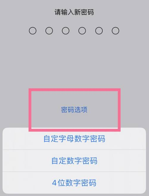 蒋场镇苹果14维修分享iPhone 14plus设置密码的方法 