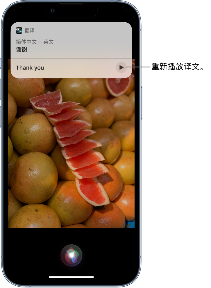 蒋场镇苹果14维修分享 iPhone 14 机型中使用 Siri：了解 Siri 能帮你做什么 