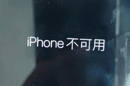 蒋场镇苹果服务网点分享锁屏界面显示“iPhone 不可用”如何解决 