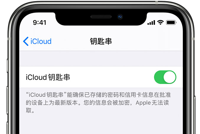 蒋场镇苹果手机维修分享在 iPhone 上开启 iCloud 钥匙串之后会储存哪些信息 