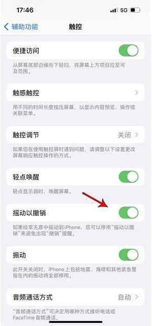 蒋场镇苹果手机维修分享iPhone手机如何设置摇一摇删除文字 