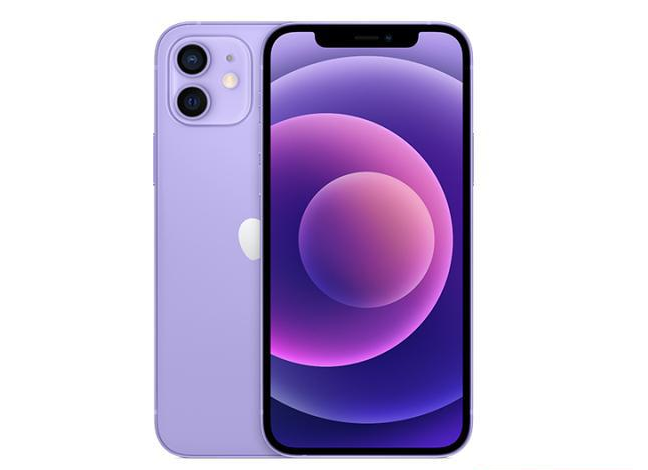 蒋场镇苹果手机维修分享现阶段要不要入手紫色版iPhone12 