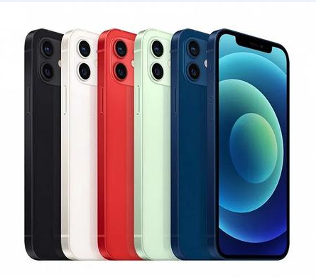 蒋场镇苹果维修点分享iPhone 12 Pro Max黑屏冷门故障解读 