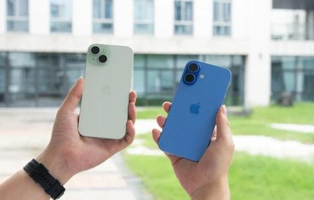 蒋场镇苹果维修点分享iPhone 16 Plus黑屏疑难故障汇总 
