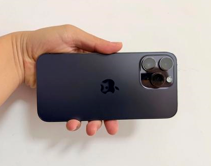蒋场镇苹果维修点分享iPhone 14 Pro Max发烫多重诱因剖析 